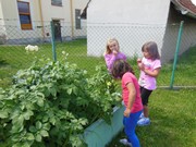 Zahradničíme ve školce